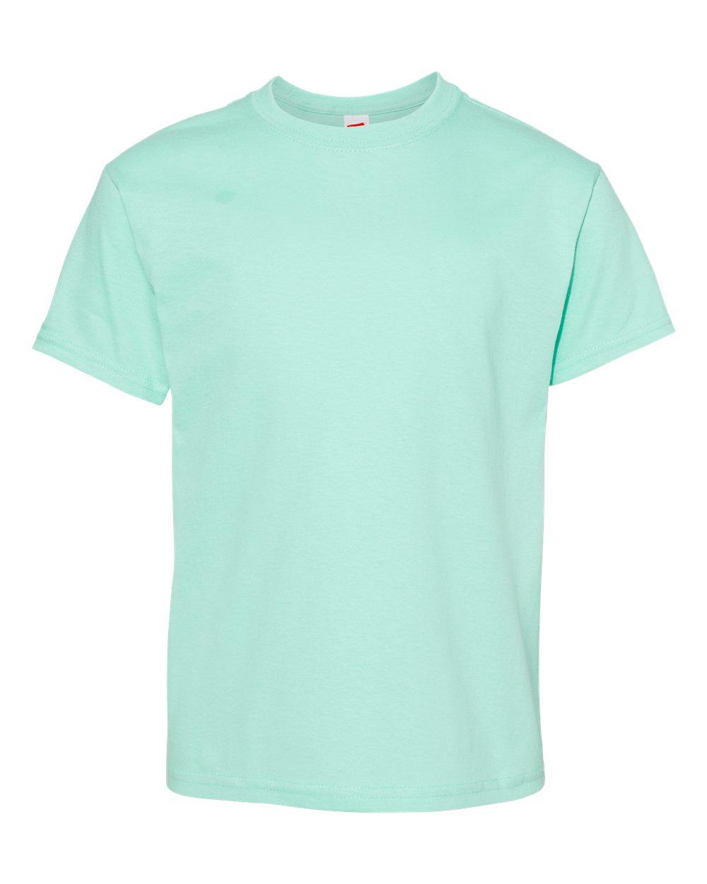 Hanes 5480 - Youth Essential-T T-Shirt - Clean Mint